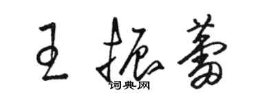 駱恆光王振蕾草書個性簽名怎么寫