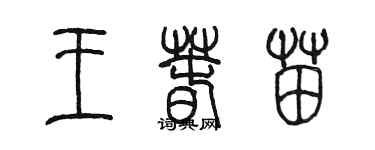 陳墨王春苗篆書個性簽名怎么寫