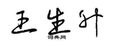 曾慶福王生升草書個性簽名怎么寫