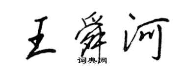 王正良王舜河行書個性簽名怎么寫