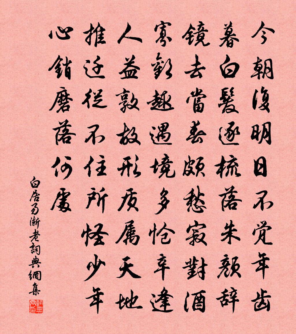 白居易漸老書法作品欣賞