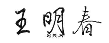 駱恆光王明春行書個性簽名怎么寫