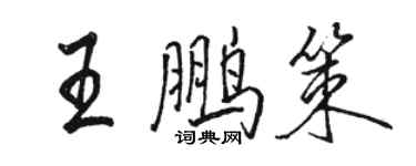 駱恆光王鵬策行書個性簽名怎么寫