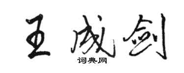 駱恆光王成劍行書個性簽名怎么寫