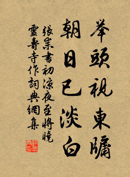 張耒舉頭視東牖,朝日已淡白書法作品欣賞