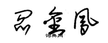 朱錫榮閻金鳳草書個性簽名怎么寫