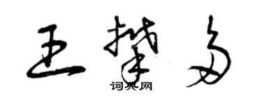 曾慶福王攀多草書個性簽名怎么寫