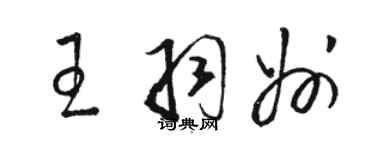 駱恆光王羽州草書個性簽名怎么寫