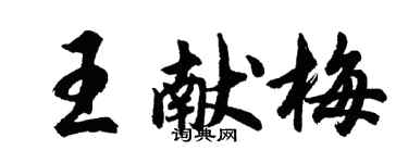 胡問遂王獻梅行書個性簽名怎么寫