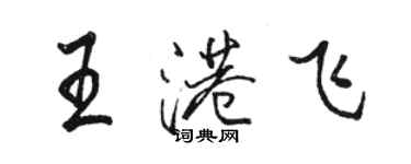 駱恆光王港飛行書個性簽名怎么寫