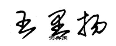 朱錫榮王里揚草書個性簽名怎么寫