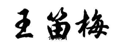 胡問遂王笛梅行書個性簽名怎么寫