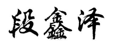 胡問遂段鑫澤行書個性簽名怎么寫