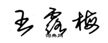 朱錫榮王露梅草書個性簽名怎么寫