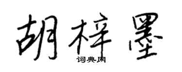 王正良胡梓墨行書個性簽名怎么寫