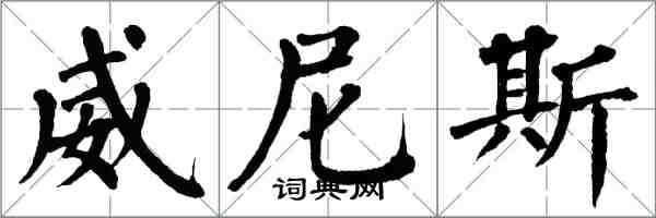 翁闓運威尼斯楷書怎么寫