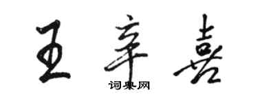 駱恆光王辛喜行書個性簽名怎么寫