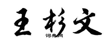 胡問遂王杉文行書個性簽名怎么寫