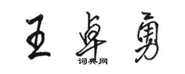 駱恆光王卓勇行書個性簽名怎么寫