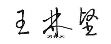 駱恆光王林堅草書個性簽名怎么寫