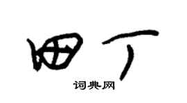 朱錫榮田丁草書個性簽名怎么寫