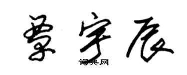 朱錫榮覃宇辰草書個性簽名怎么寫