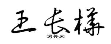 曾慶福王長樺草書個性簽名怎么寫