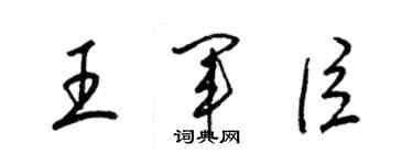 梁錦英王軍臣草書個性簽名怎么寫