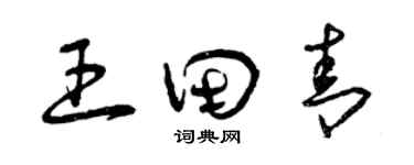 曾慶福王田青草書個性簽名怎么寫