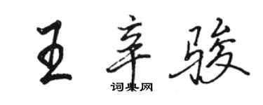 駱恆光王辛駿行書個性簽名怎么寫