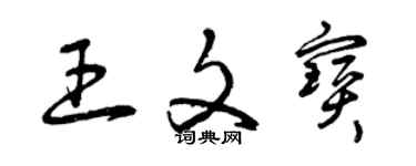 曾慶福王文寶草書個性簽名怎么寫