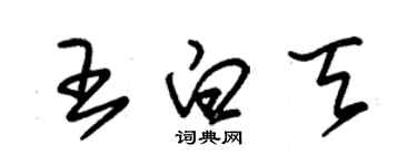 朱錫榮王白天草書個性簽名怎么寫