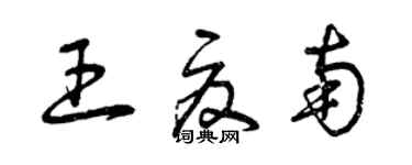 曾慶福王夏南草書個性簽名怎么寫