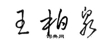 駱恆光王柏泉草書個性簽名怎么寫