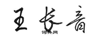 駱恆光王長音行書個性簽名怎么寫