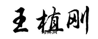 胡問遂王植剛行書個性簽名怎么寫