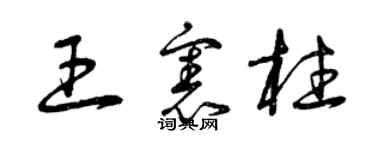 曾慶福王憲柱草書個性簽名怎么寫