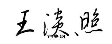 王正良王淡照行書個性簽名怎么寫