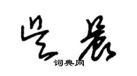 朱錫榮吳晨草書個性簽名怎么寫