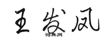 駱恆光王發鳳行書個性簽名怎么寫