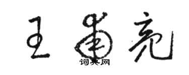 駱恆光王甫亮草書個性簽名怎么寫