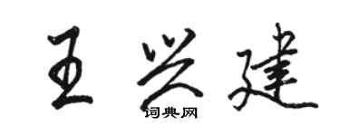 駱恆光王興建行書個性簽名怎么寫