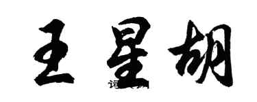 胡問遂王星胡行書個性簽名怎么寫