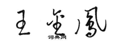 駱恆光王金鳳草書個性簽名怎么寫