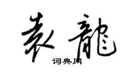 王正良袁龍行書個性簽名怎么寫