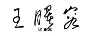 駱恆光王曙容草書個性簽名怎么寫