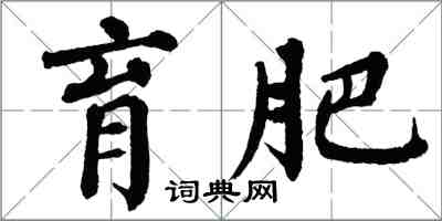 翁闓運育肥楷書怎么寫