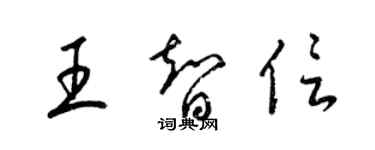 梁錦英王智信草書個性簽名怎么寫