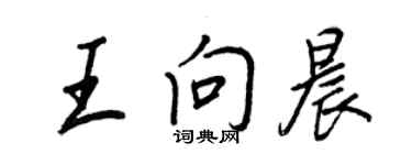 王正良王向晨行書個性簽名怎么寫