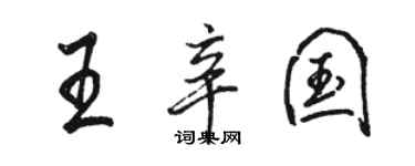 駱恆光王辛國行書個性簽名怎么寫